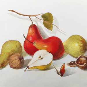 Pere succose, noci e farfalla. Natura morta. Stile classico.  Pittura ad acquerello originale. Accogliente cucina e decorazione da pranzo. Regalo.