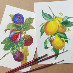 Lemons and figs . Set of 2 still-lifes in italian style. Original watercolor painting.Botanical art. Still-life art. Kitchen decor. Gift