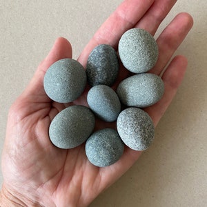 8 Natürliche Oval Grau Sea Stones 2,5-3 cm Eiförmige Strandsteine für Craft Montessori Pebbles Pebbles Art