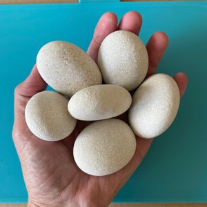 6 Piedras de Mar Ovaladas Lisas Color Blanco - Piedras de Mar Artesanales - Decoración de Playa