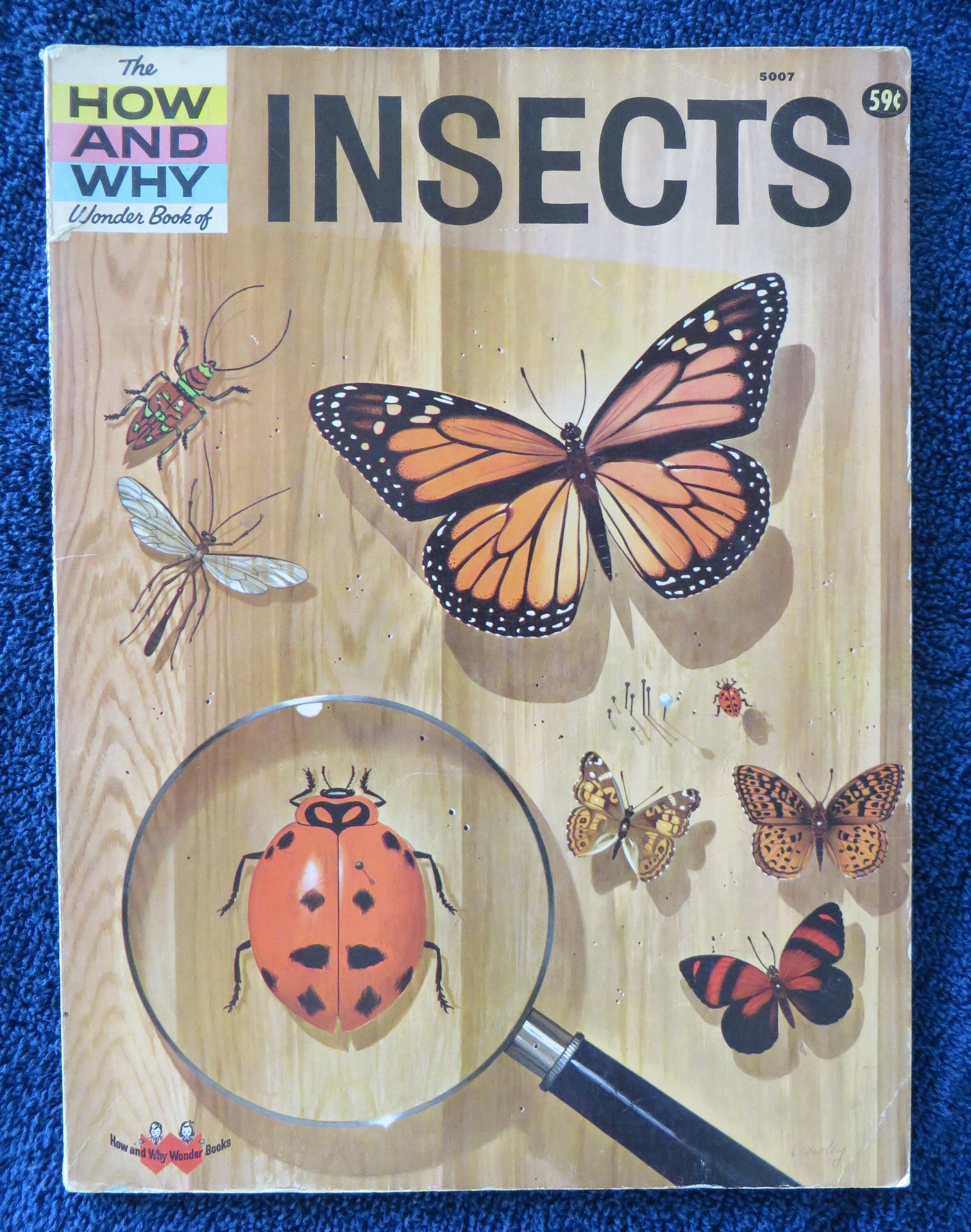of　1960　and　Vintage　Why　Wonder　The　Insects.　Book　How　Book　Etsy