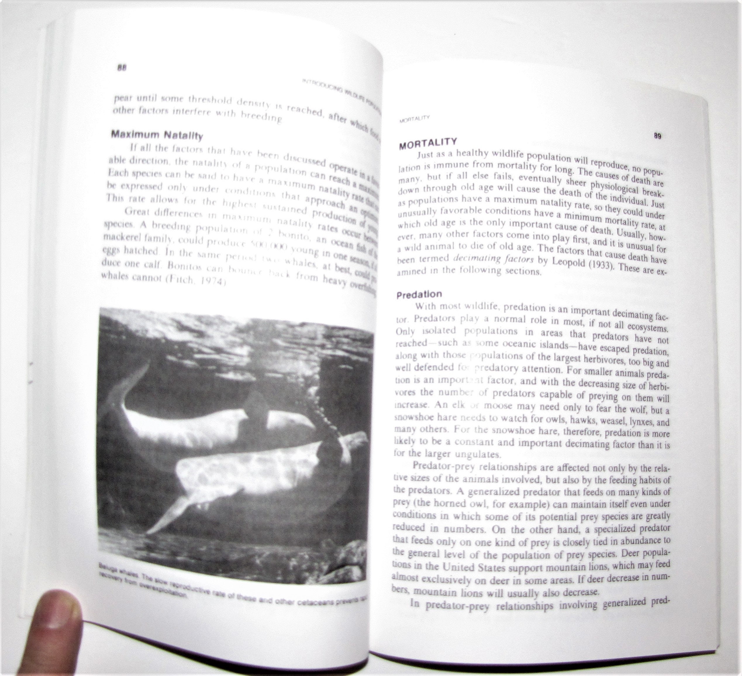 Wildlife Biology Paperback by Dasmann Raymond Frederick Etsy