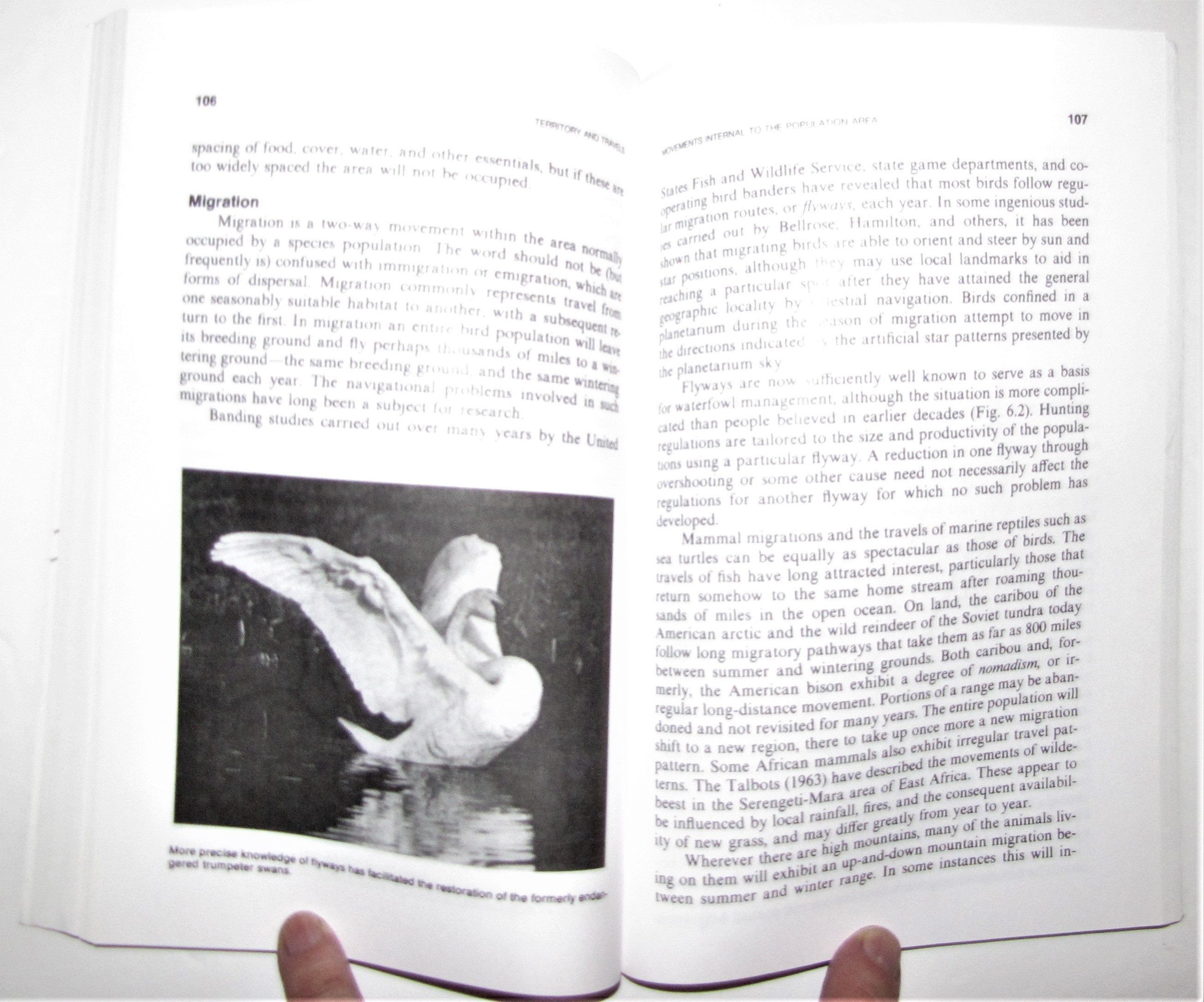 Wildlife Biology Paperback by Dasmann Raymond Frederick Etsy