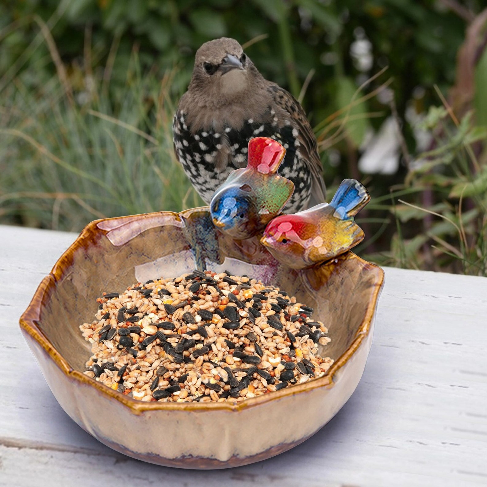 1Pc Ceramic Bird Feeder Bath Bowls Birdfeeder For Garden Etsy