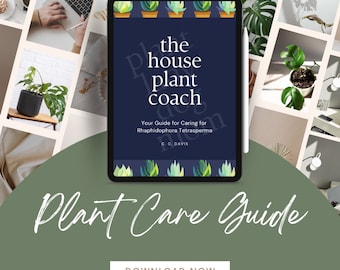 Rhaphidophora Tetrasperma Plant Care eBook: The Ultimate Guide | Ginny Monstera | Plant Care | Houseplant | Mini Monstera | Easy Download