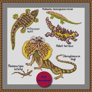 Customizable Dragon Cross Stitch Pattern - Instant Download! Learn the Art of Scientific Cross Stitch. Set of 4 Reptiles X-stitch.