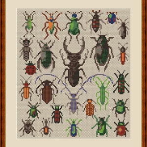 Colorful Beetles Cross Stitch Pattern for Nature Lovers - Instant Download PDF. Insect embroidery. Naturalist decor.