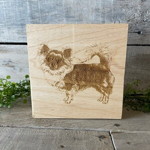 Pitbull on Wood