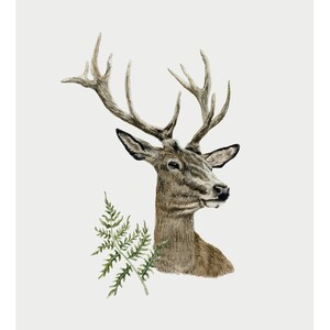 Deer and Ferns Art Print | 5x7 Watercolor Buck Wall Art | Fine Art Print
