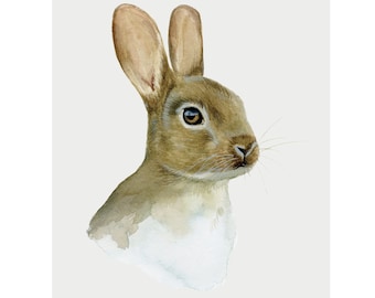 Bunny Rabbit Art Print | 4x6 and 5x7 Art Print | Watercolor illustration | Woodland Animals