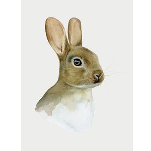 Bunny Rabbit Art Print | 4x6 and 5x7 Art Print | Watercolor illustration | Woodland Animals