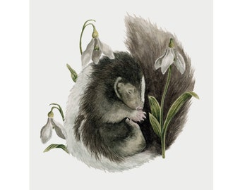 Baby Skunk and Snowdrops Art Print, Baby Skunk Art, Watercolor Skunk Painting, Snowdrop Flower Art, Woodland Animal Art