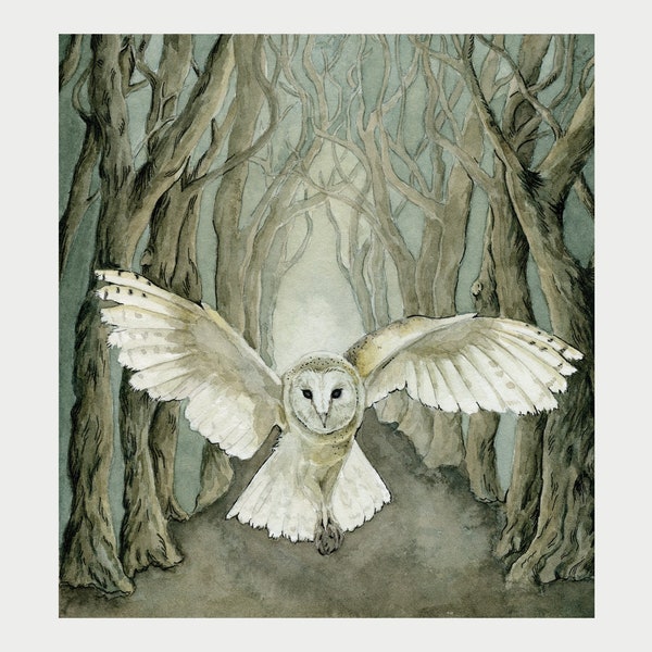 Barn Owl 6x6 Art Print | Owl Watercolor Giclee Print | Enchanted Forest Art | Owl Wall Art | Illustration