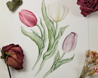 Tulip Original Watercolor Painting, 8x10 Tulip Illustration, Original Botanical Wall Art
