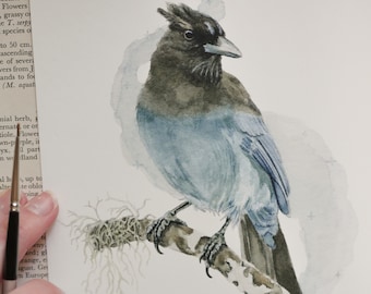 Magical Stellar's Jay Art Print, Whimsical Watercolor Painting, Mystical Bird Art, Lichen Art, Realistic Bird Painting