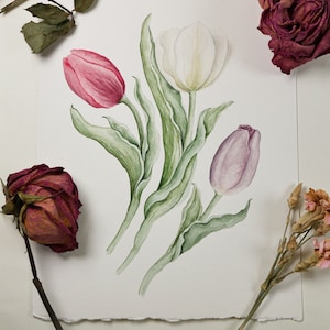 Tulip Original Watercolor Painting, 8x10 Tulip Illustration, Original Botanical Wall Art