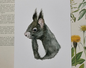 Squirrel Greeting Card, Handmade Watercolor Cards, Gray Squirrel Cards, Woodland Animal Art