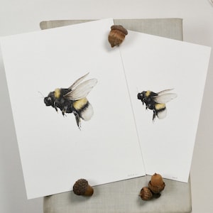Bumblebee Watercolor Art Print | Bee Art | 4x6 5x7