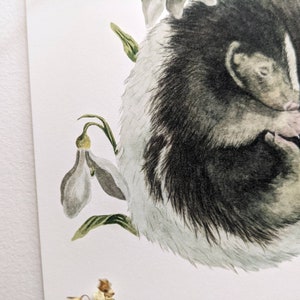 May include: A watercolor painting of a black and white skunk curled up in a nest of white flowers. The skunk has its eyes closed and is sleeping peacefully. The flowers are white with green stems and leaves.