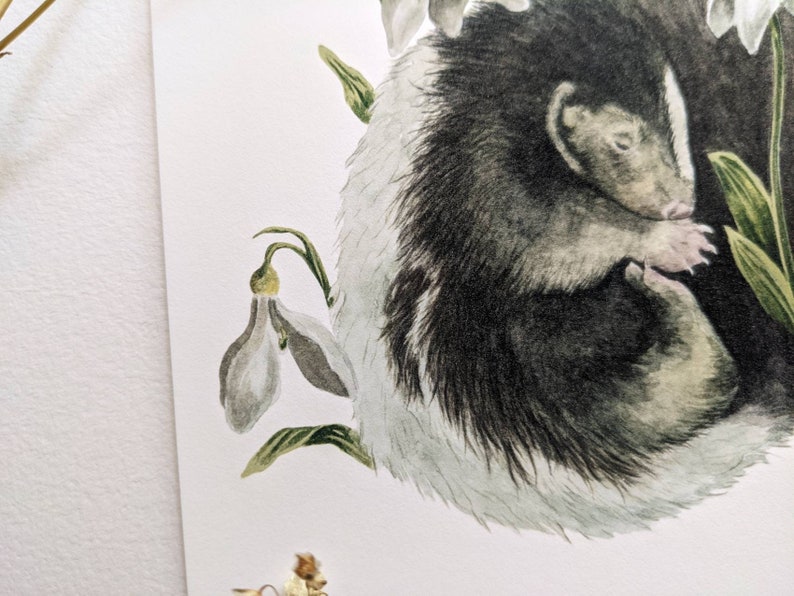 May include: A watercolor painting of a black and white skunk curled up in a nest of white flowers. The skunk has its eyes closed and is sleeping peacefully. The flowers are white with green stems and leaves.