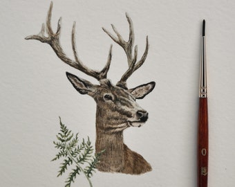 Original Deer and Fern Illustration