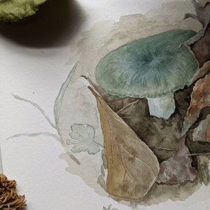 Original Russula Mushroom Watercolor Painting. Fungi Art Study. Artwork. Painting. Mushroom Illustration. image 2