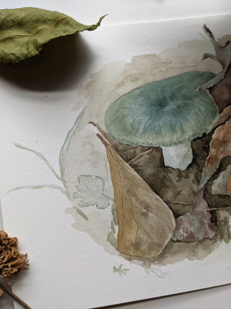 Original Russula Mushroom Watercolor Painting. Fungi Art Study. Artwork. Painting. Mushroom Illustration. image 2