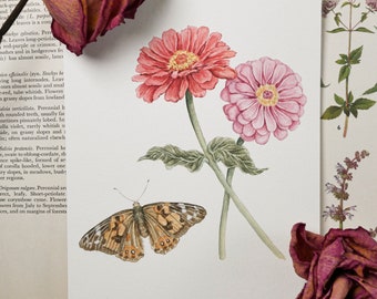 Zinnia Butterfly Original Watercolor Painting