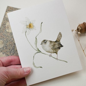Carte de voeux troglodyte jonquille, oiseau aquarelle, cartes faites main, cartes de voeux oiseaux et fleurs