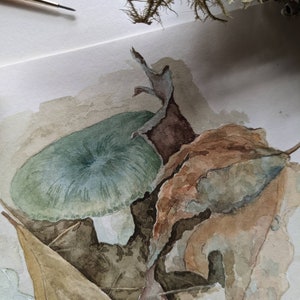 Original Russula Mushroom Watercolor Painting. Fungi Art Study. Artwork. Painting. Mushroom Illustration. image 3