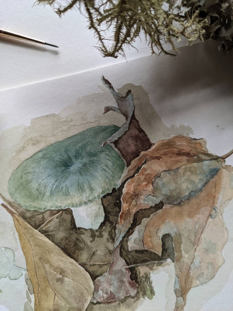 Original Russula Mushroom Watercolor Painting. Fungi Art Study. Artwork. Painting. Mushroom Illustration. image 3