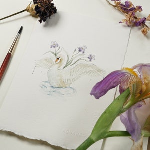 Swan and Iris Original Watercolor Painting, White Swan Art, 5x7