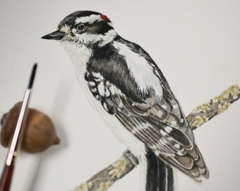 Original Downy Woodpecker Painting | Watercolor Bird Art | 5x7