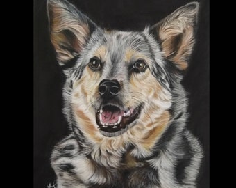 Portrait d'animal de compagnie personnalisé, dessiné à la main, dessin réaliste, crayon de couleur, chiens, chats, animaux