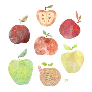 Postkarte / Kunstdruck "Apples" A6 A5 A4 A3 Quadrat