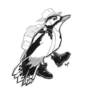Postkarte Kunstdruck "Woodpecker in Boots" A6 A5 A4 A3 Quadrat