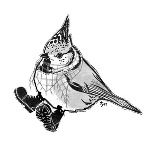 Postkarte Kunstdruck "Crested Tit in Boots" A6 A5 A4 A3 Quadrat