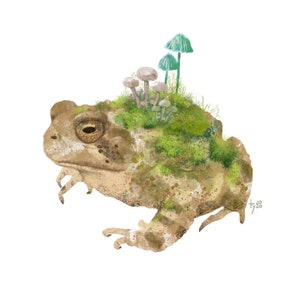 Postkarte / Kunstdruck "Mossy Toad" A6 A5 A4 A3 Quadrat