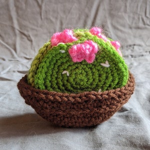 Cactus Coaster Set with Pot