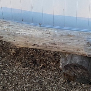 May include: A rustic wooden bench made from a large log, with two smaller logs as legs. The bench is sitting on a bed of wood chips in front of a white wooden fence.