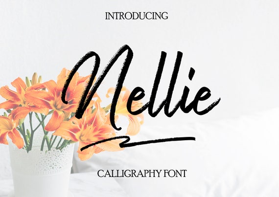 Calligraphy Font Digital Fonts Cursive Font Script Font Font Download Craft Font Modern Calligraphy Fonts Font Download Visual Arts Calligraphy Efp Osteology Org