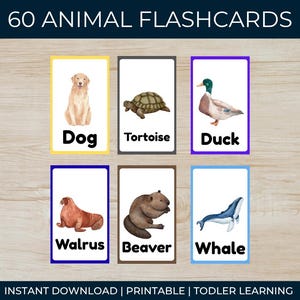 Animal Flashcards for Toddlers | Montessori Learning Cards (PDF)