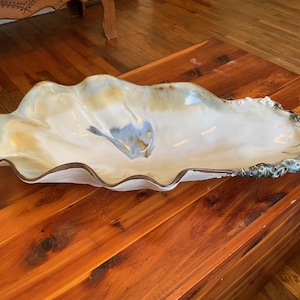 May include: A large, decorative ceramic serving dish in the shape of a seashell. The dish has a creamy white interior with blue and yellow accents. The rim is a dark brown color, and the edge has a textured, dark green and gray design.