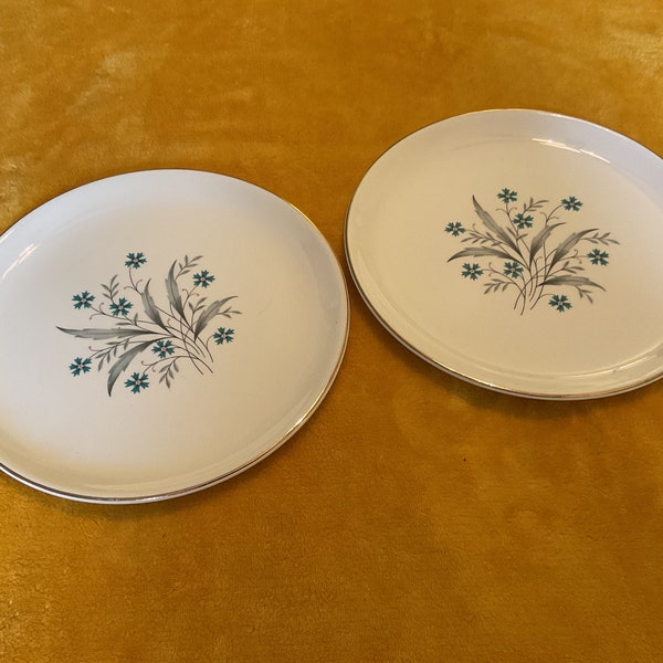 SCIO Hampton Gilt Edged Floral Dinner Plates (2)