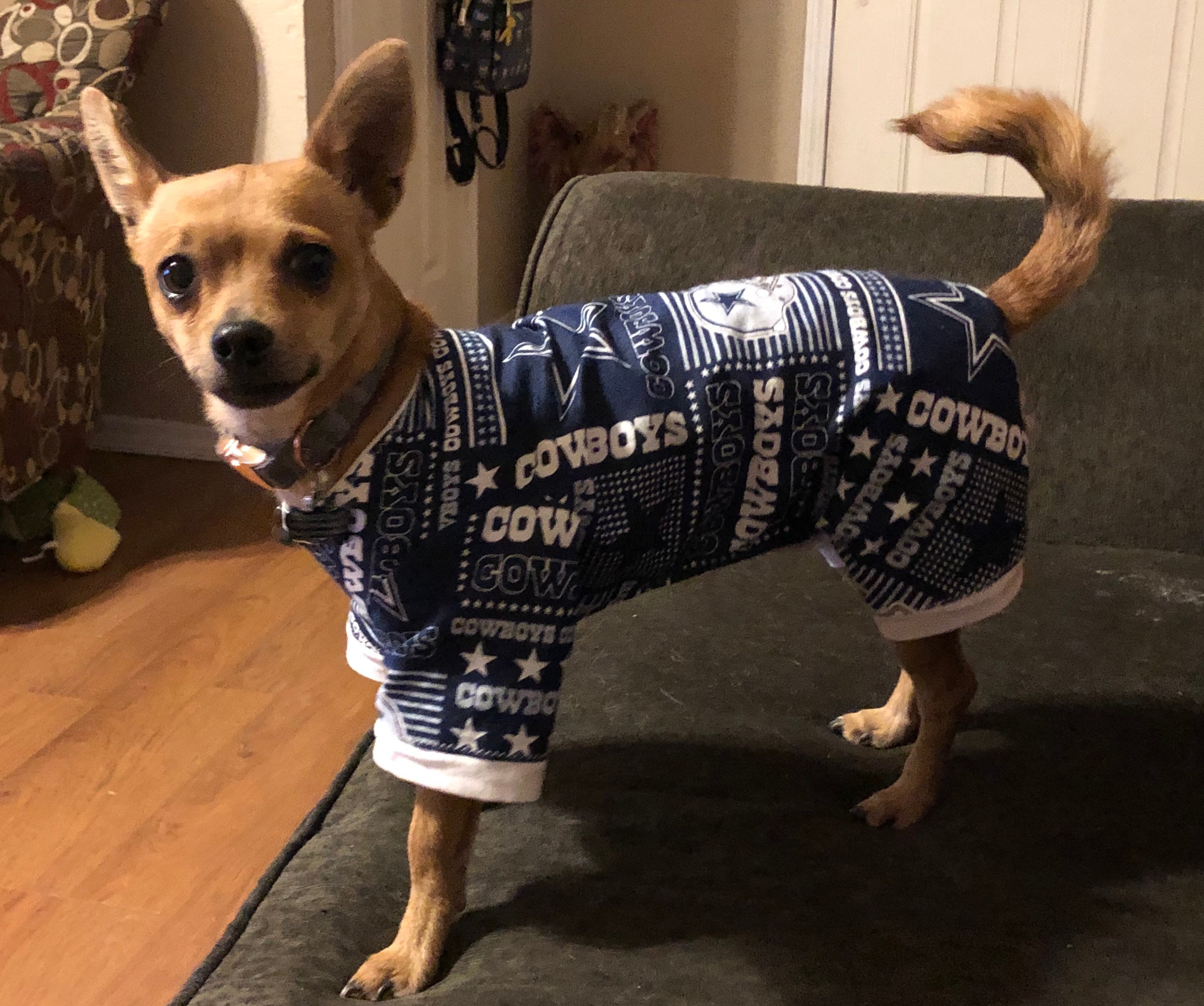 nfl dog sweaters
