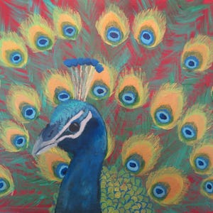 Tarjetas de felicitación de pavo real