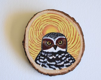 Burrowing Owl on Basswood