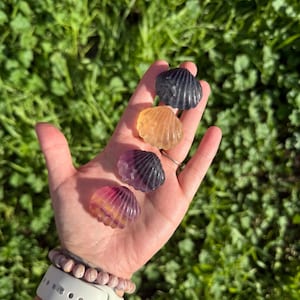 Op de afbeelding: Vier fluorite kristallen schelpen in verschillende tinten paars, geel en zwart. De schelpen zijn gerangschikt in een hand, met de grootste schelp bovenaan en de kleinste onderaan.