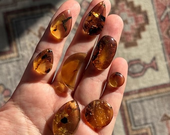 Chiapas Bernstein Cabochon, Honig Cognac, Natürliche Einschlüsse, Schmuckherstellung