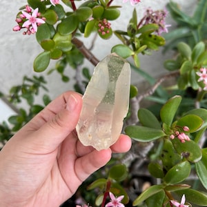 Yellow Golden Lemurian Quartz Crystal Point from Brazil